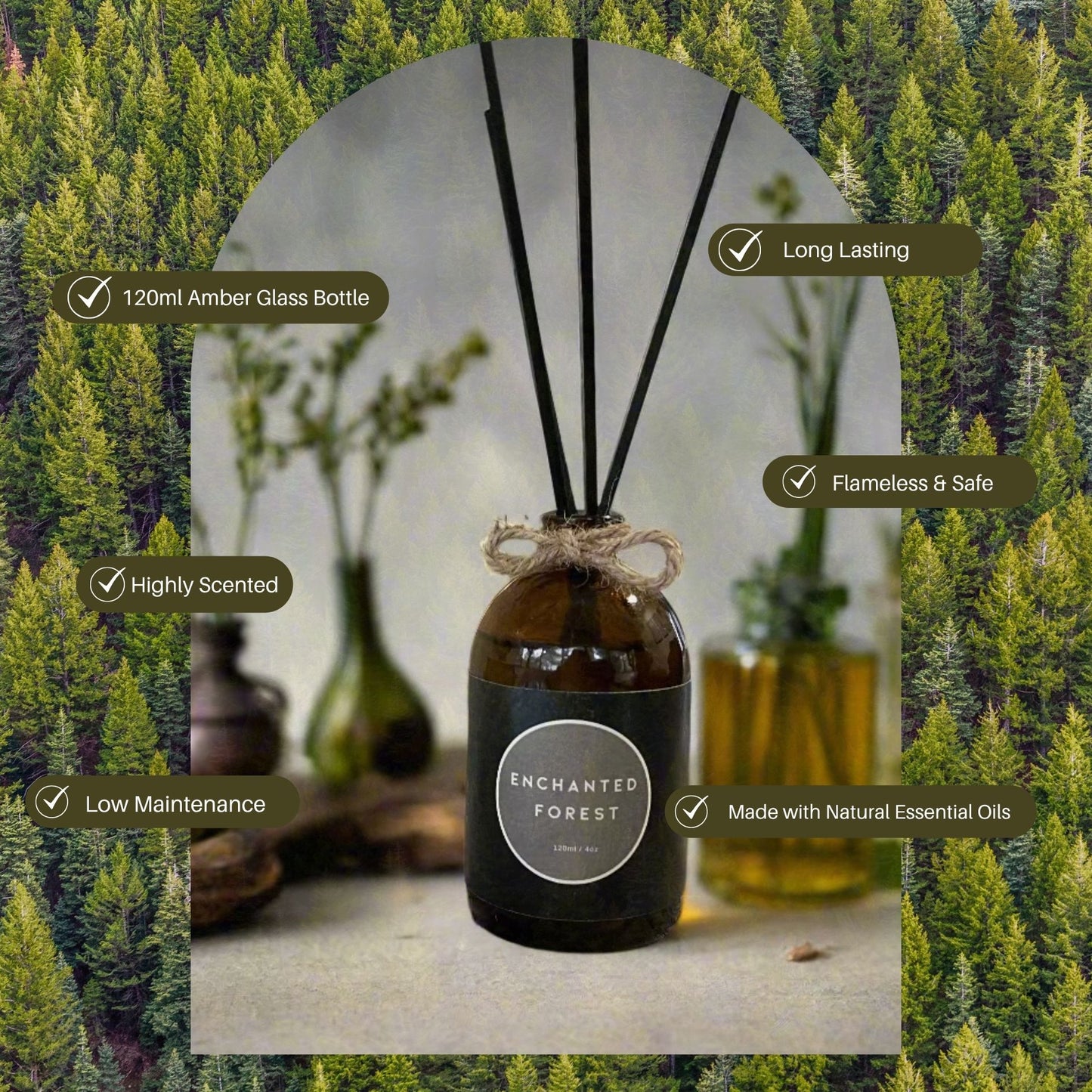 Enchanted Forest [Limited Edition]