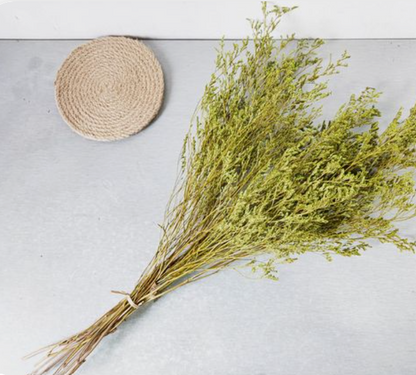 Limonium Grass