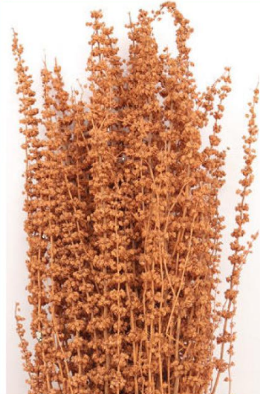 Palam Stick